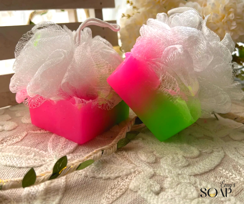 Hawaii Loofah